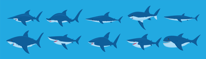 Fototapeta premium set of shark species funny illustration