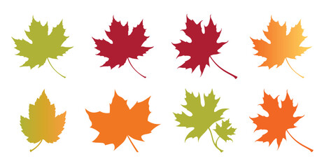Fototapeta premium fall autumn leaves icon creative layout set of maple leaves