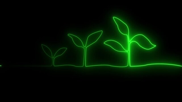 Neon green glowing outline of three plants in different stages of growth on a black background seedling
