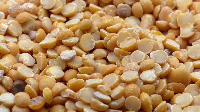 Porous texture of yellow split peas, organic raw food ingredient detail for minimalist culinary branding and advertising