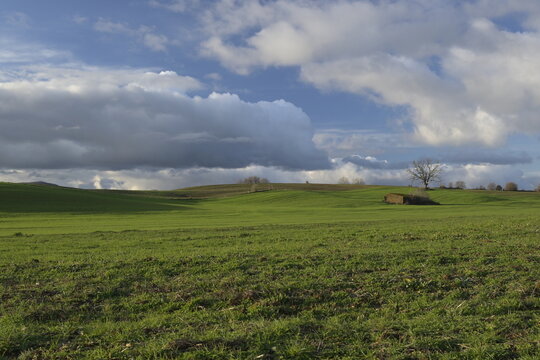 Campagna