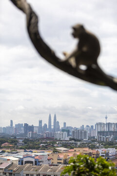 View of a distant cityscape framed by a blurred monkey perched on a branch, juxtaposing wildlife and urban sprawl in a single frame, Batu Caves, Selangor, Malaysia.