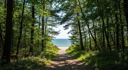 Obraz premium Sunlit path through a forest opens to a bright beach and ocean