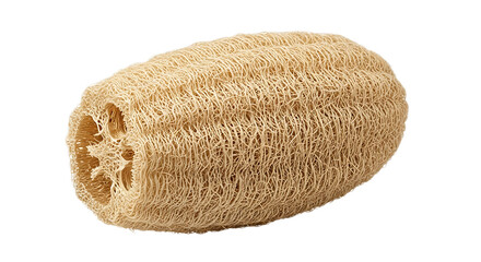 Single raw loofah sponge dried gourd fiber texture