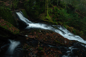 Landscape view of a fast flowing small river winding through an autumn forest, with colorful fall foliage, mossy banks, and moving water creating a dynamic seasonal nature scene.

