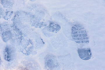 Fototapeta premium Snow-covered footprints on winter ground