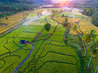 Beautiful morning view in Indonesia, panoramic landscape of rice fields with mountain ranges and clear sky