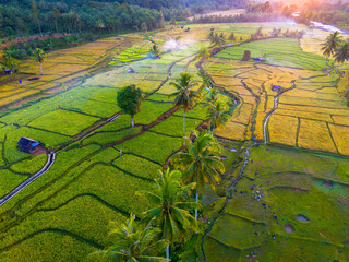 Beautiful morning view in Indonesia, panoramic landscape of rice fields with mountain ranges and clear sky