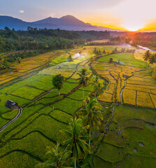 Beautiful morning view in Indonesia, panoramic landscape of rice fields with mountain ranges and clear sky