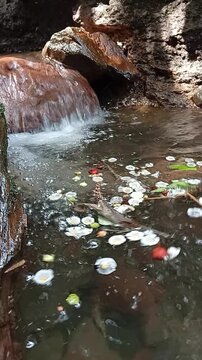 mountain river in the forest
