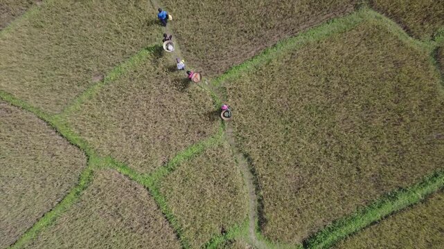 DRONE GARO HILLS, MEGHALAYA