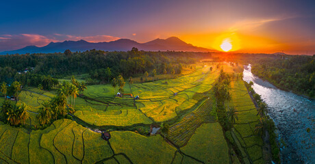 Beautiful morning view in Indonesia, panoramic landscape of rice fields with mountain ranges and clear sky