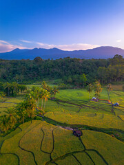 Beautiful morning view in Indonesia, panoramic landscape of rice fields with mountain ranges and clear sky