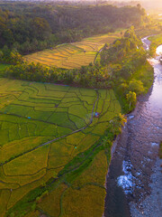 Beautiful morning view in Indonesia, panoramic landscape of rice fields with mountain ranges and clear sky