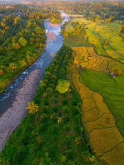 Beautiful morning view in Indonesia, panoramic landscape of rice fields with mountain ranges and clear sky