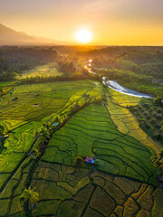 Beautiful morning view in Indonesia, panoramic landscape of rice fields with mountain ranges and clear sky