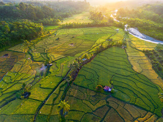 Beautiful morning view in Indonesia, panoramic landscape of rice fields with mountain ranges and clear sky