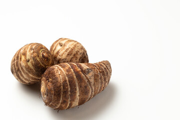 海老芋 白バック