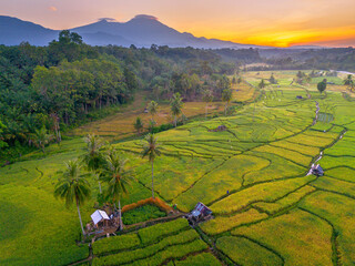 Beautiful morning view in Indonesia, panoramic landscape of rice fields with mountain ranges and clear sky