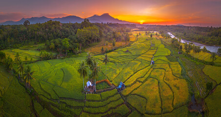 Beautiful morning view in Indonesia, panoramic landscape of rice fields with mountain ranges and clear sky