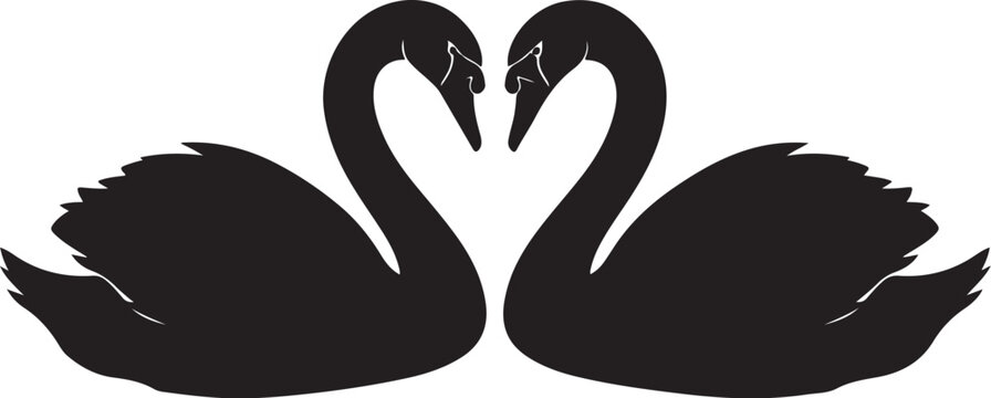 Two black swans forming a heart shape together forever