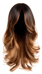 Fototapeta premium Long Layered Wavy Ombre Brown to Blonde Wig Isolated 