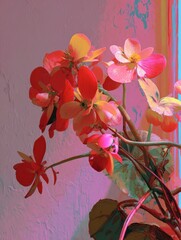 Vibrant Red and Pink Flowers in Sunlit Corner