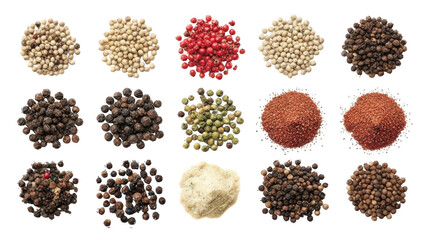 pine cones on white background