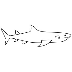 Obraz premium Shark vector icon. Fish Illustration sign. Ocean life symbol or logo. Web design.