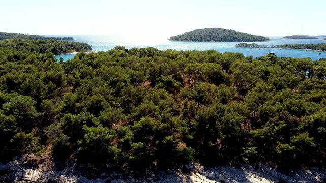 Aerial ascend over dense coastal forest bordering rocky shoreline, backdrop establish, Seget Vranjica Croatia