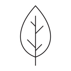 A minimalist leaf icon in a clean and simple design environment silhouette vector outline icon use as a symbol, web graphic design, and infographic icon
