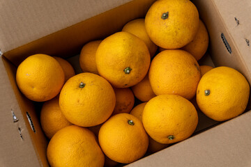 Boxed Japanese fresh hassaku delivered directly from the farm, closeup