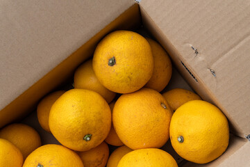 Boxed Japanese fresh hassaku delivered directly from the farm, closeup