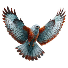 Fototapeta premium red headed eagle with wings