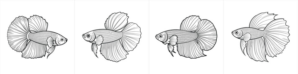 Fototapeta premium detailed hand drawn halfmoon betta fish sketches for elegant aquatic animal art black and white clipart design vector illustration artwork 