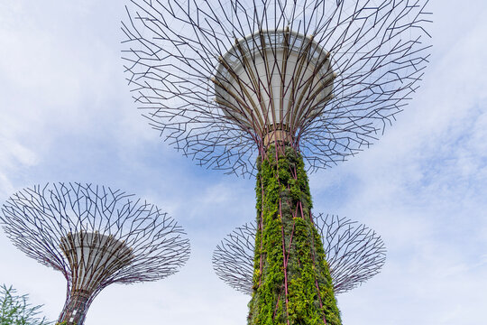 Views of Gardens by the Bay