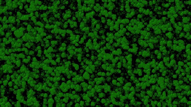 Green Snake Reptile Scale Skin Texture Abstract Background for Wildlife Video