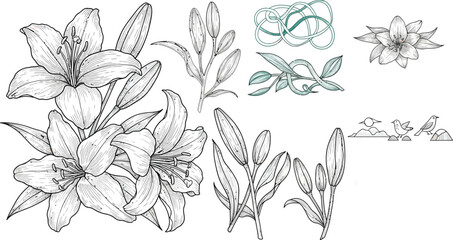 Sophisticated Floral Line Art with Detailed Blooms and Abstract Growth vector illustration