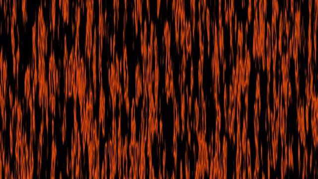 Orange and Black Tiger Stripes Skin Fur Texture Background Loop