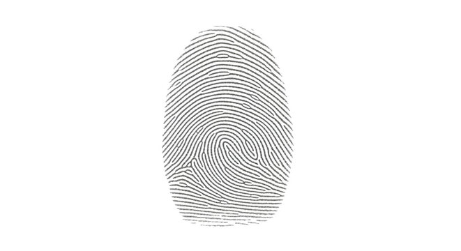 Detailed fingerprint pattern isolated PNG, unique biometric identification for security and forensic science applications on transparent background