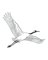 Obraz premium Crane Bird Illustration Isolated on White Background. Oriental Japanese Korean Symbol of Luck and Longevity