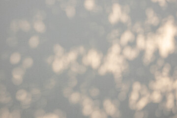 Abstract natural tree branch leaves shadow on beige wall background