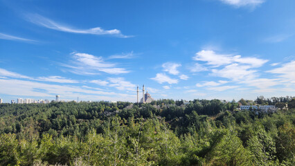 A city forest in the Mediterranean region in January, under a bright blue sky, with a mosque in the distance.