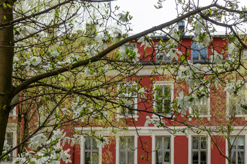 Fototapety na wymiar - Fototapeta24.pl