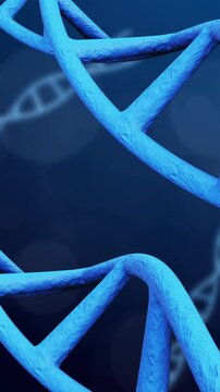 DNA Strand Animation Spinning on science background. Full Hd. 4K