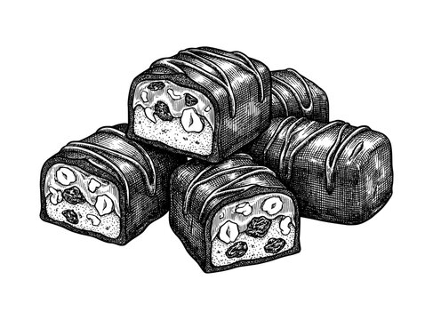 Hand drawn Chocotejas. Vector vintage engraving sketch of traditional Peruvian chocolate truffles with pecan and manjar blanco isolated on white background.