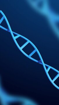 DNA Strand Animation Spinning on science background. Full Hd. 4K