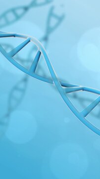 DNA Strand Animation Spinning on science background. Full Hd. 4K