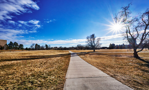 Footpath through City Park in Denver, Colorado