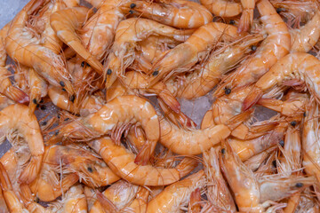 A Spanish fish market stall specializing in traditional cured and salted seafood. Products like salted cod bacalao are displayed, reflecting centuries-old Spanish culinary traditions